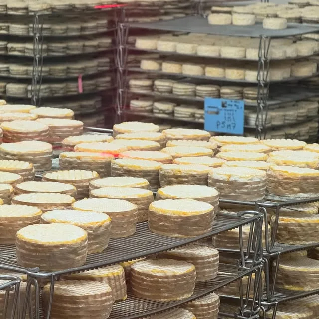 Fromages normands en cours d’affinage
